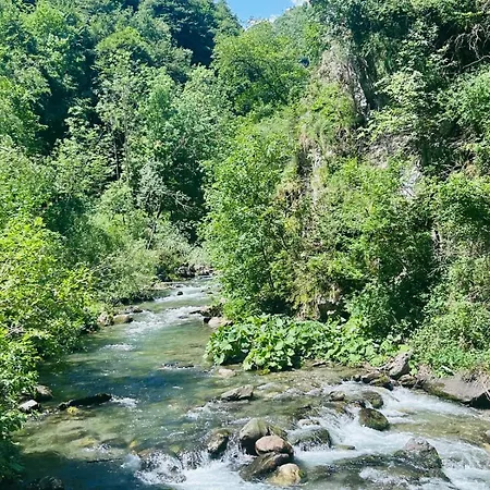 Il Caminetto Daire